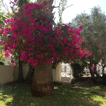 Quinta Do Poco - Olhos De Agua Villa *